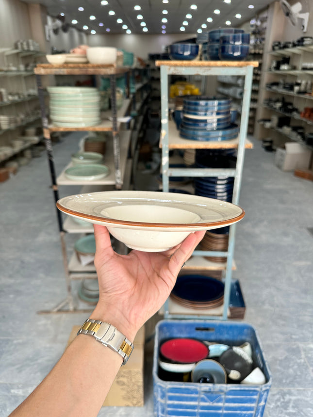 Leftover 9.5 inch Pasta Plate ( Grey Colorline Brown Line With Brown Specks )