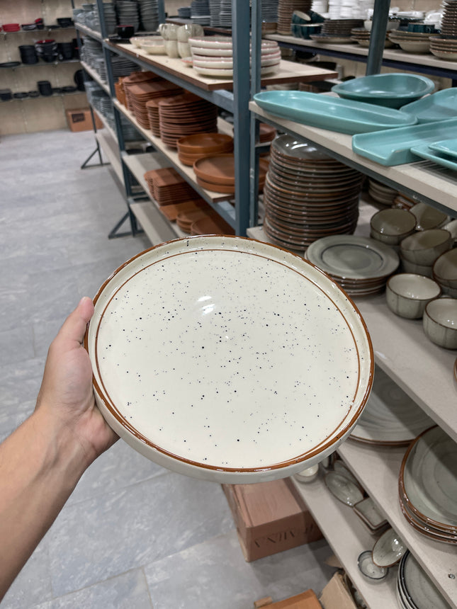 Leftover 10 inch Classic Plate ( Glossy Off-White with Brown Lines )