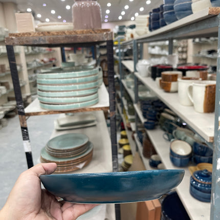Leftover 8.5 inch Entree Bowl ( Peacock Matt )