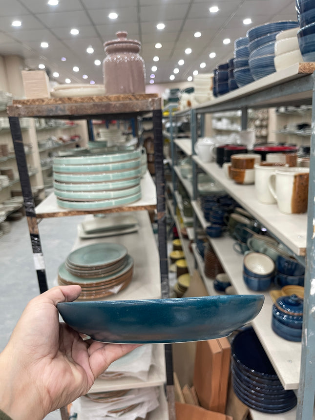 Leftover 8.5 inch Entree Bowl ( Peacock Matt )