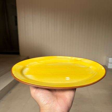 leftover 11 inch Rice Dish with Rim ( Yellow Colorline )