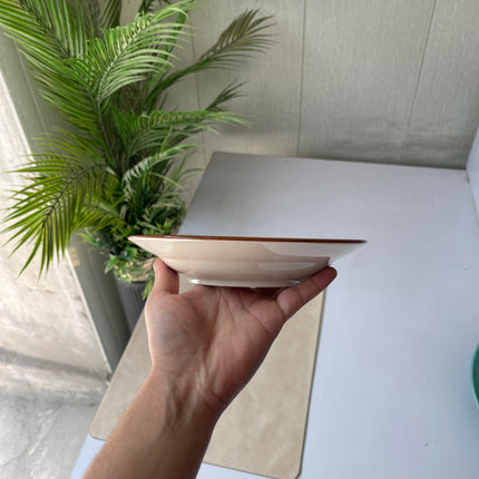 Leftover 8 inch Deep Gravy Plate ( Teal Colorline )