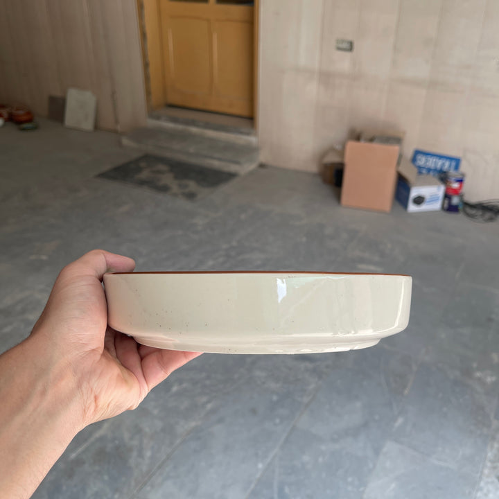 Leftover 8 inch Classic Bowl ( Peacock Green Colorline )