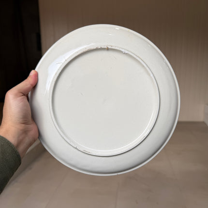 Leftover 11 inch Rimless Plate ( Teal Colorline )