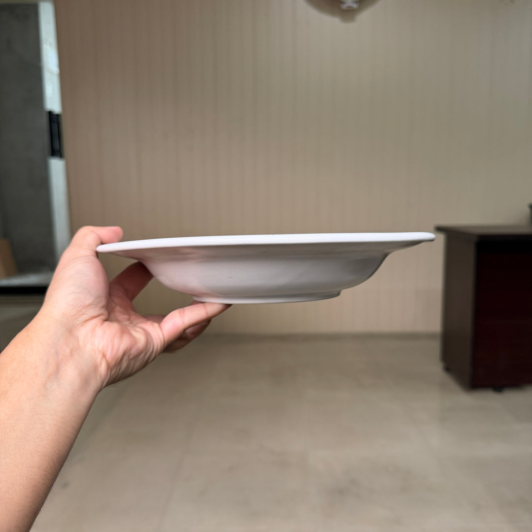 Leftover 10 inch Deep plate ( Snow Cocoa )
