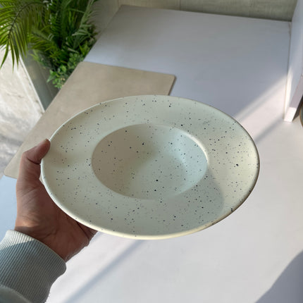 Leftover 9.5 inch Pasta Plate ( White Matte with Black Specks )