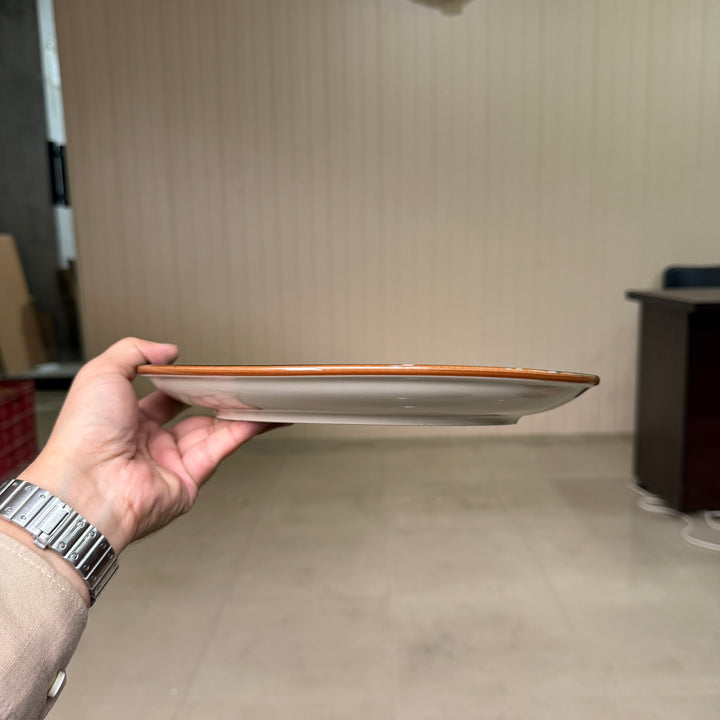 Leftover 11 inch Rimless Plate ( Peacock Green Colorline ) ( Set of 6 )