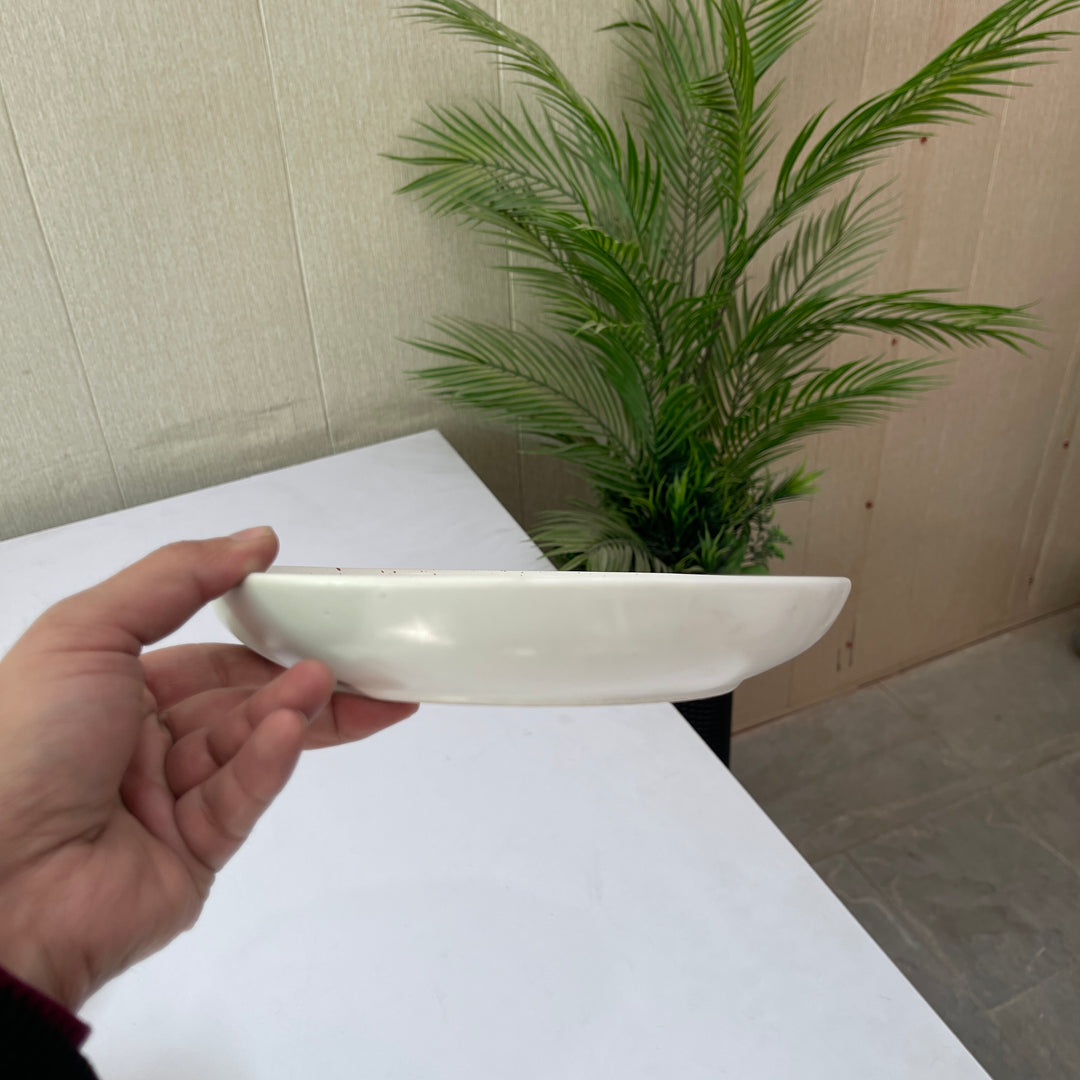 Leftover 8.5 inch Entree Bowl ( Snow Cocoa )