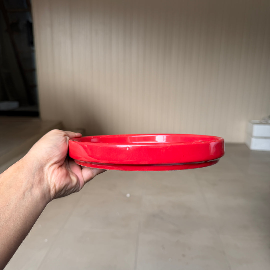 Leftover 8 inch Classic Plate ( Glossy red with white dots )