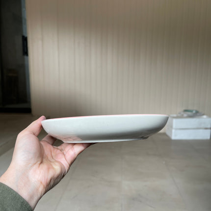 Leftover 8.5 inch Entree Bowl ( Grey Colorline with Pink Rim and Brown Specks )