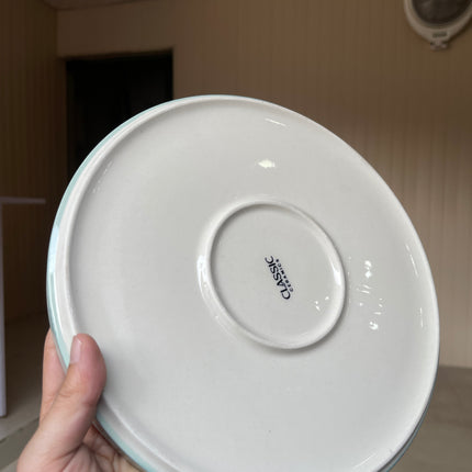 leftover 10 inch classic plate ( Teal Colorline )