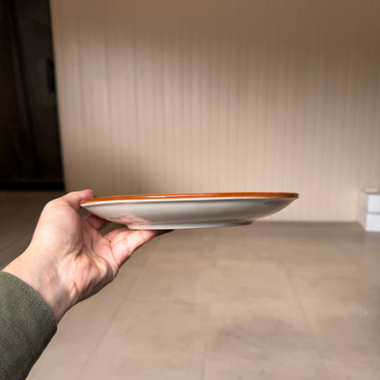 Leftover 8.5 inch Rimless Plate ( Pink Colorline )
