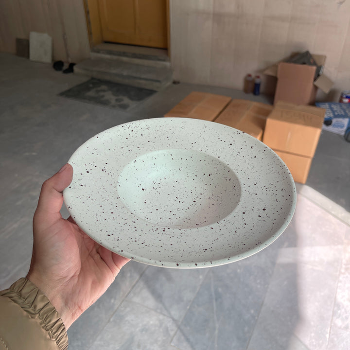 Leftover 9.5 inch Pasta Plate ( Snow Garnet )