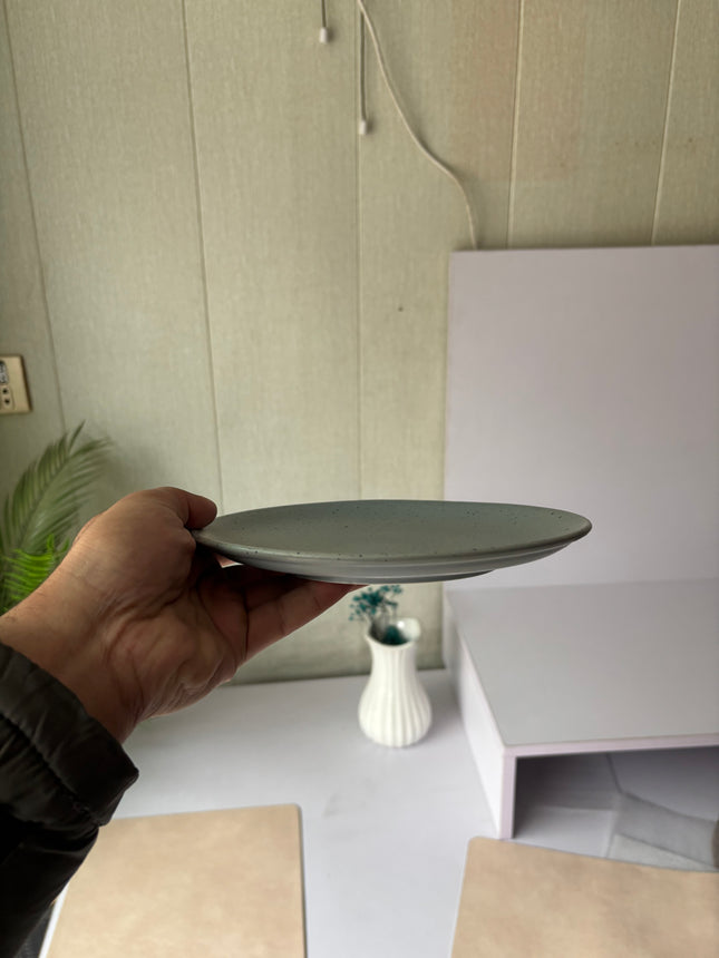 Leftover 8 inch Rimless Plate ( Grey Matte with black specks )
