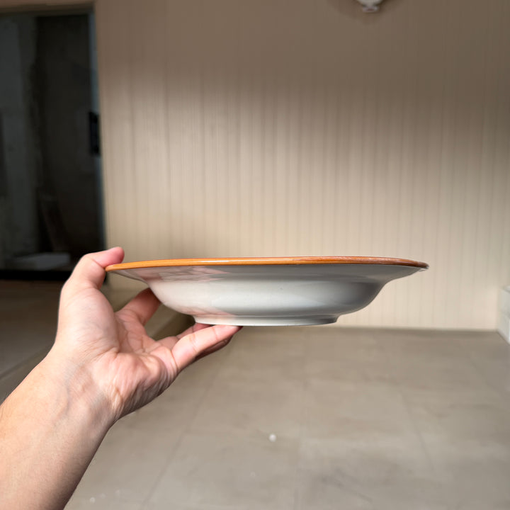 Leftover 10 inch Deep plate ( Red Colorline with brown rim and brown specks )