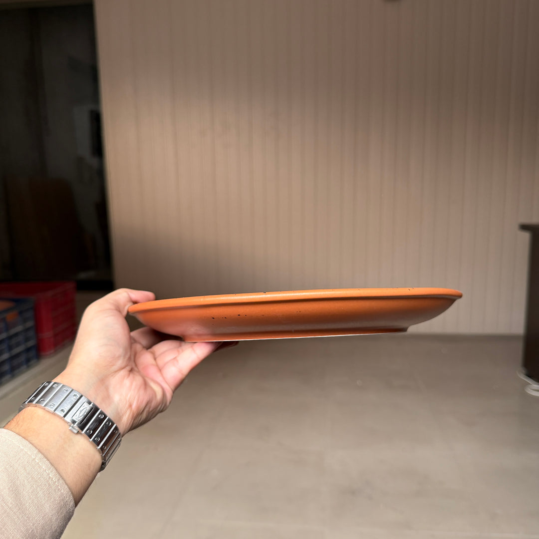 Leftover 11 inch Rimless Plate ( Terracotta matte with black specks ) ( Set of 6 )