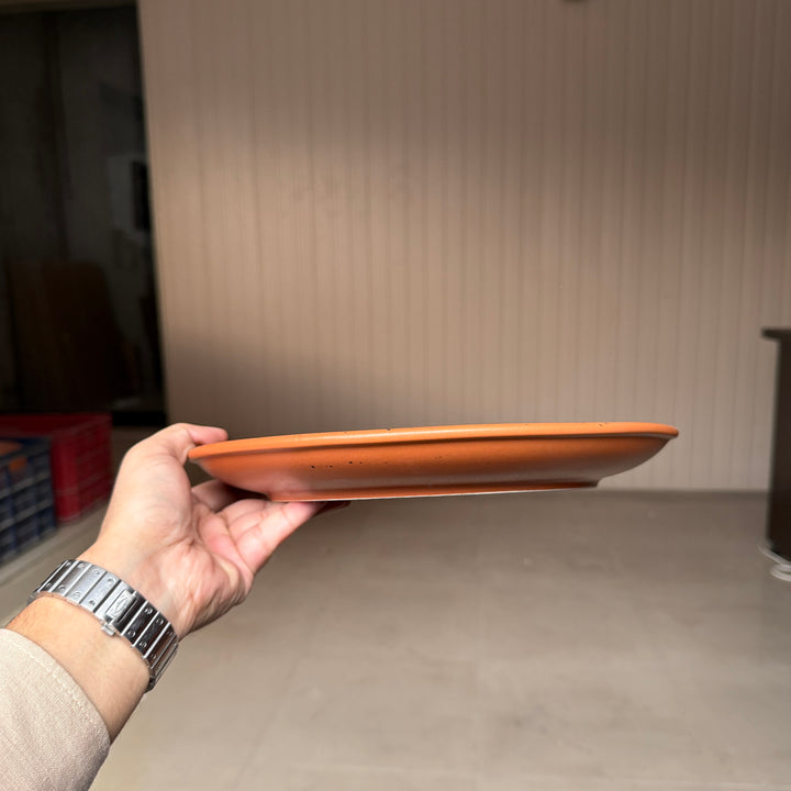 Leftover 11 inch Rimless Plate ( Terracotta matte with black specks ) ( Set of 6 )