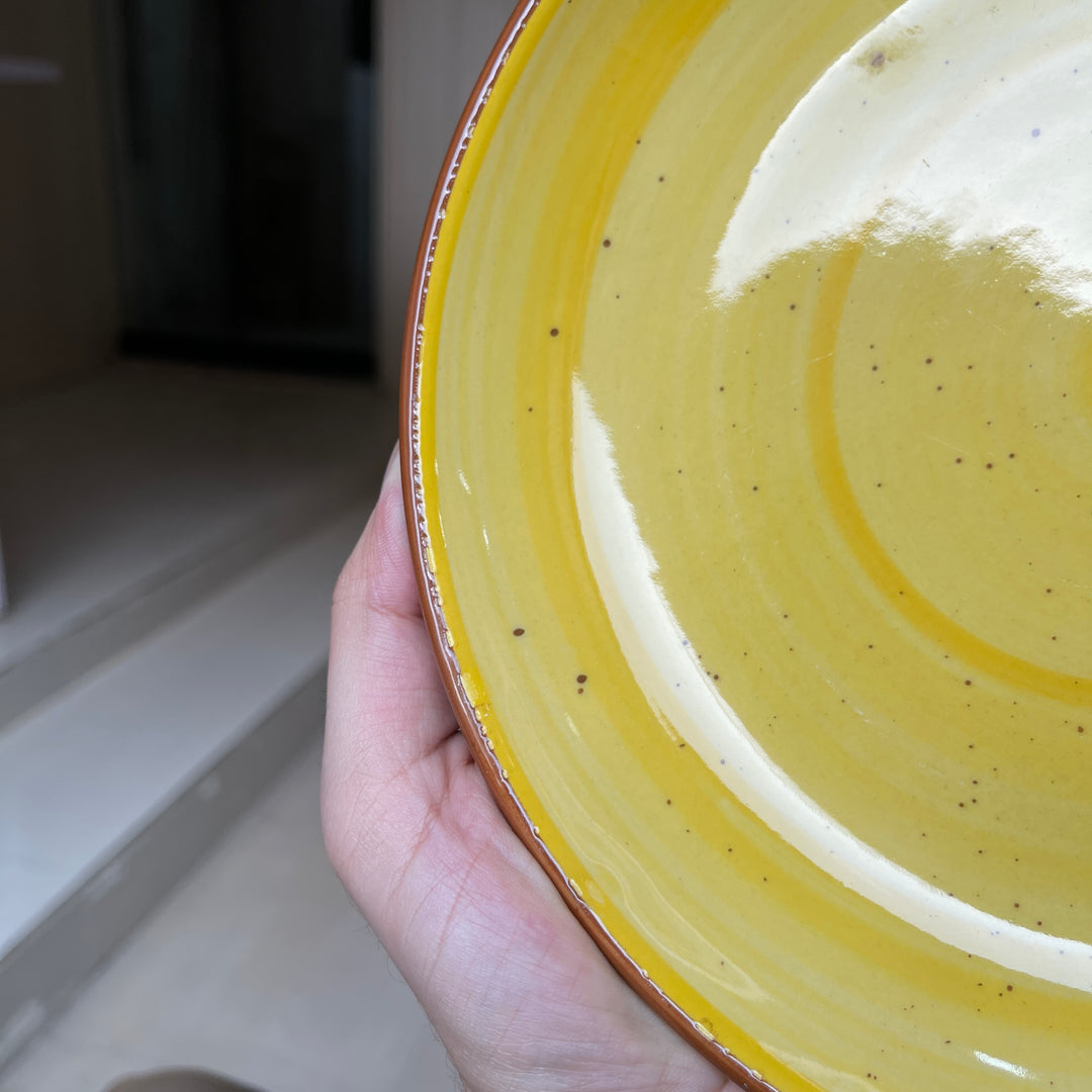 Leftover 8.5 inch Entree Bowl ( Yellow Colorline )