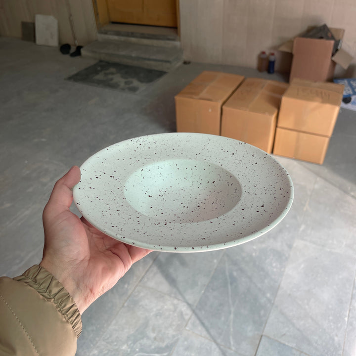 Leftover 9.5 inch Pasta Plate ( Snow Garnet )