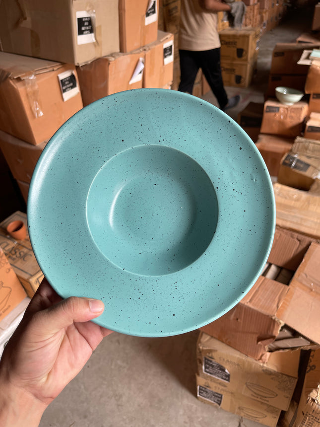 Leftover 9.5 inch Pasta Plate ( Firozi Matte with Black Specks )