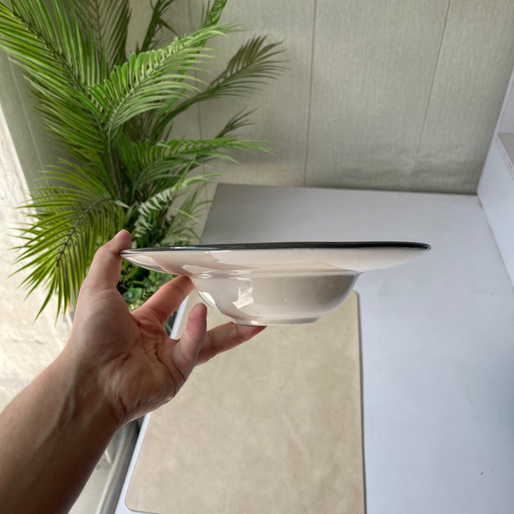Leftover 9.5 inch Pasta Plate ( Breeze with black rim )