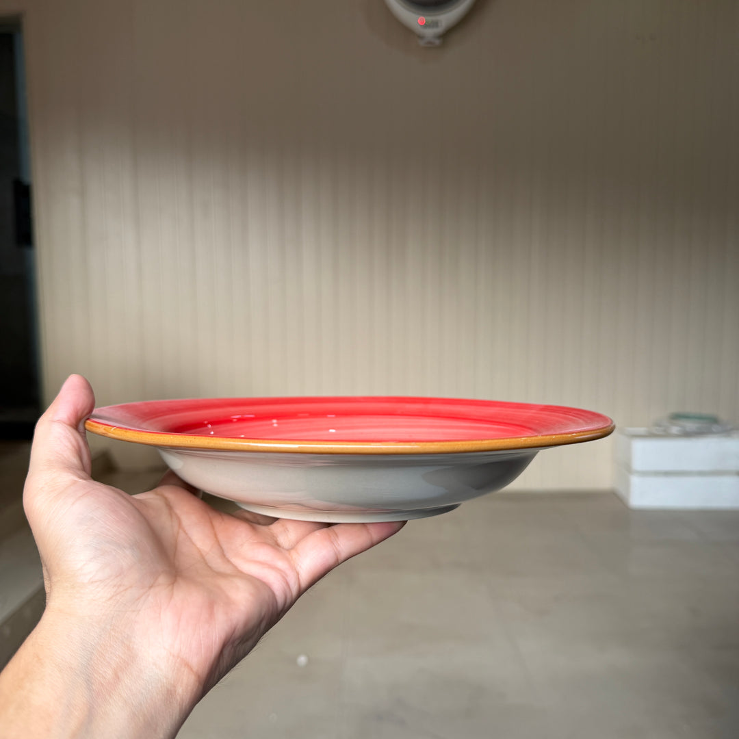 Leftover 10 inch Deep plate ( Red Colorline with brown rim and brown specks )