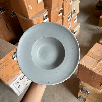 Leftover 9.5 inch Pasta Plate ( Grey Matte with Black Specks )