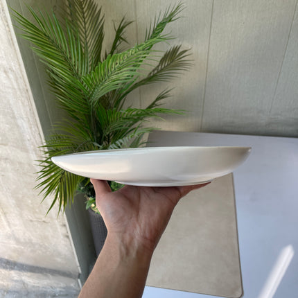 Leftover 11"x9" Triangular Platter ( White Matte with brown specks )