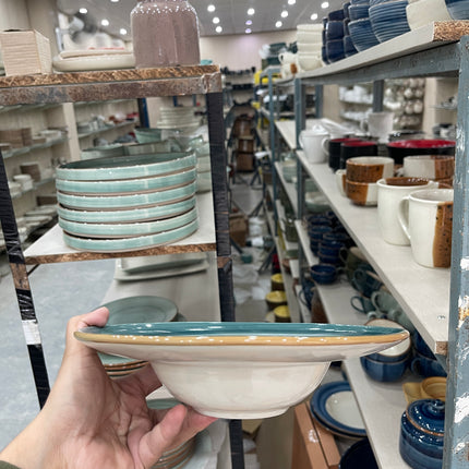 Leftover 9.5 inch Pasta Plate ( Peacock Green Brown line )