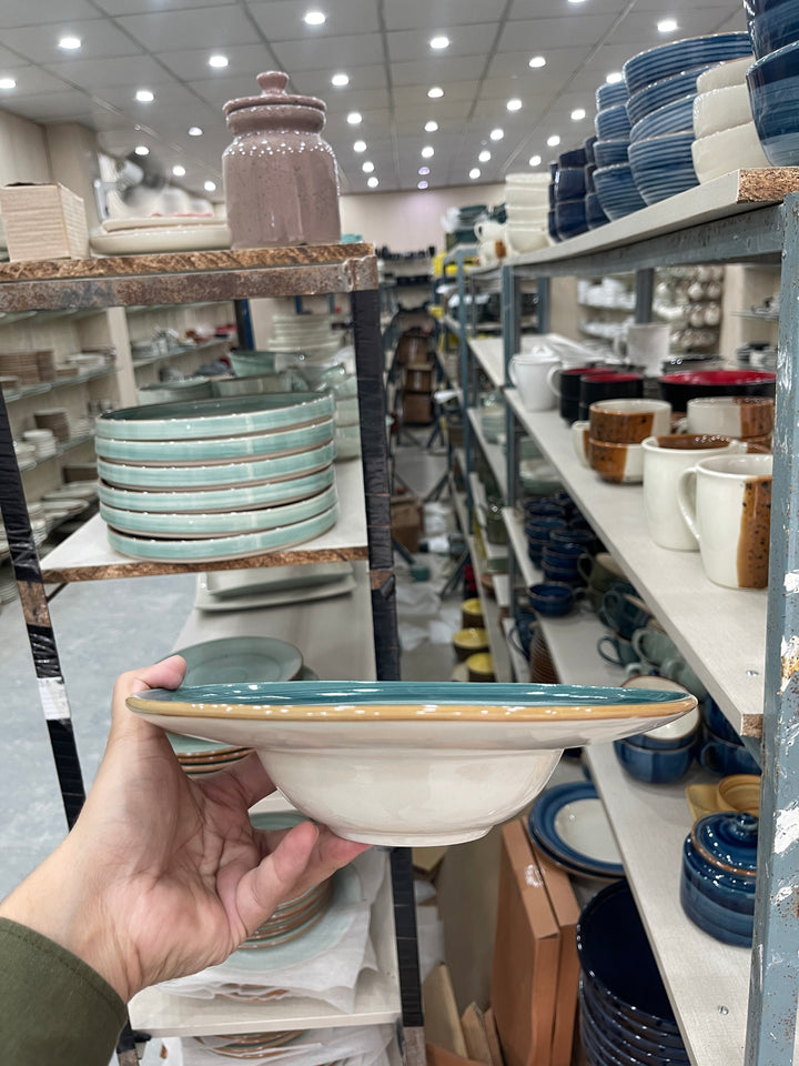 Leftover 9.5 inch Pasta Plate ( Peacock Green Brown line )