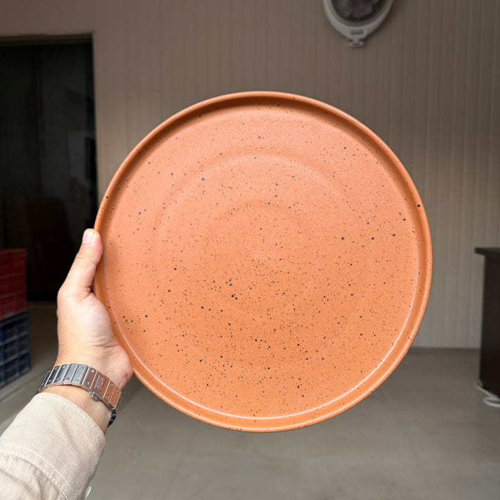 Leftover 12 inch Classic Plate ( Terracotta matte with black specks )