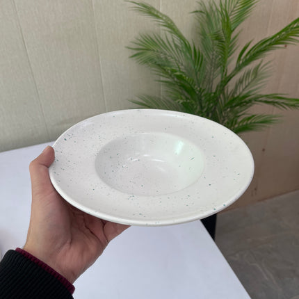 Leftover 9.5 inch Pasta Plate ( White Matte with Teal Specks )