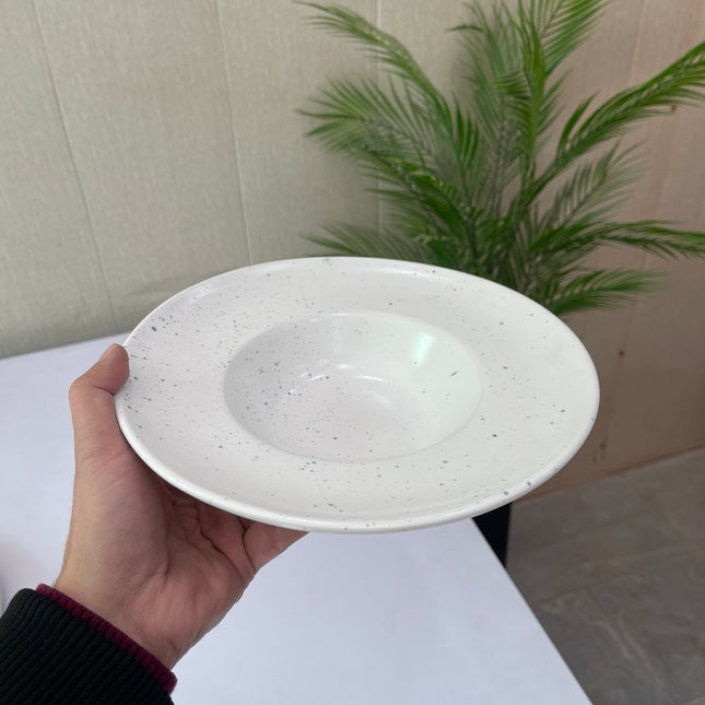 Leftover 9.5 inch Pasta Plate ( White Matte with Teal Specks )