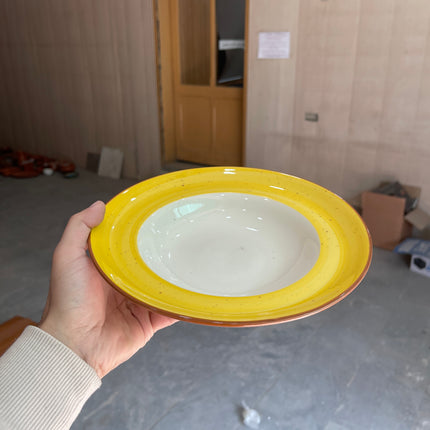 Leftover 9 inch Deep wide Plate ( Yellow Colorline )