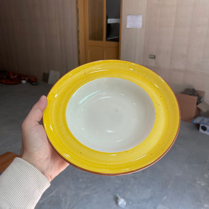 Leftover 9 inch Deep wide Plate ( Yellow Colorline )