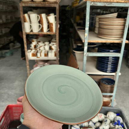 Leftover 8 inch Rimless Plate ( Teal Colorline Brown line )