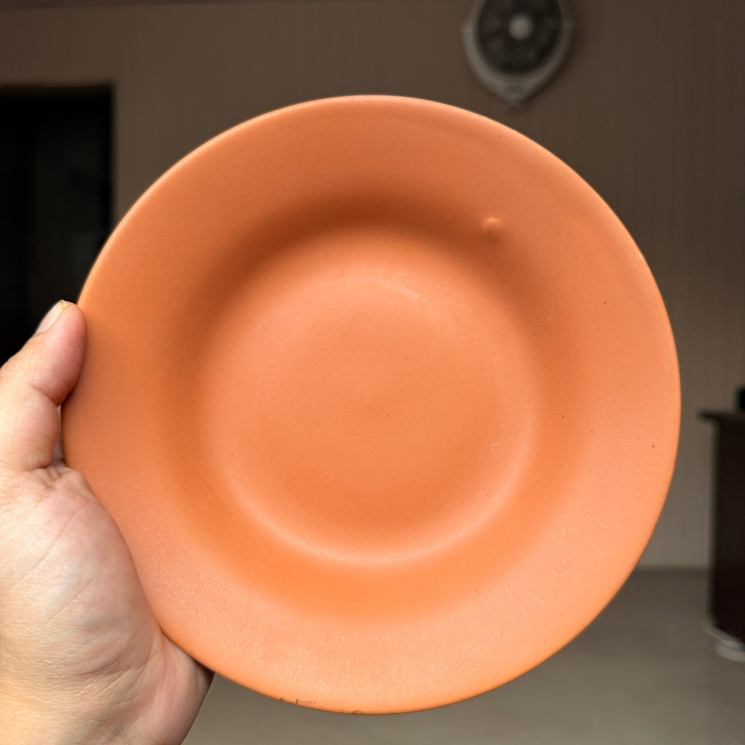Leftover 7 inch Deep Gravy Plate ( Terracotta Matte ) ( Set of 6 )