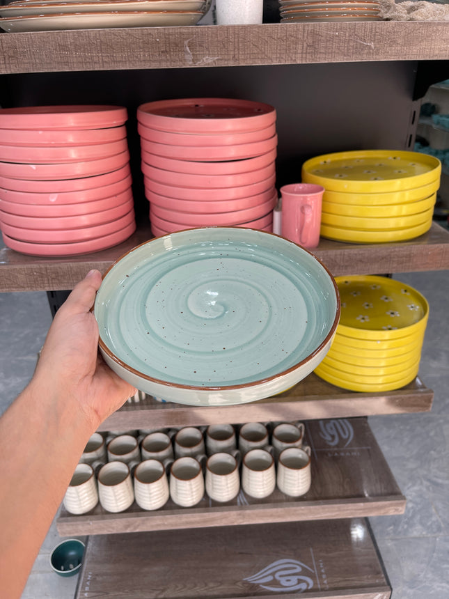 Leftover 8 inch Classic Plate ( Teal Colorline )