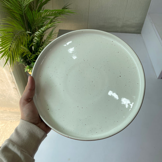 Leftover 10 inch Classic Plate ( Rustic Brown Matte )