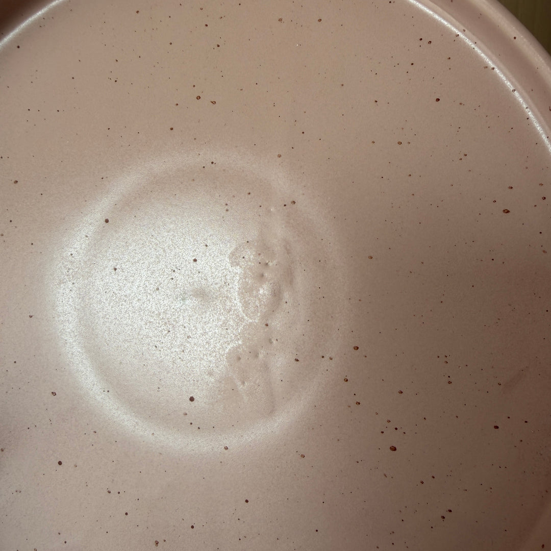 Leftover 10 inch Classic Plate ( Old Rose Matte )