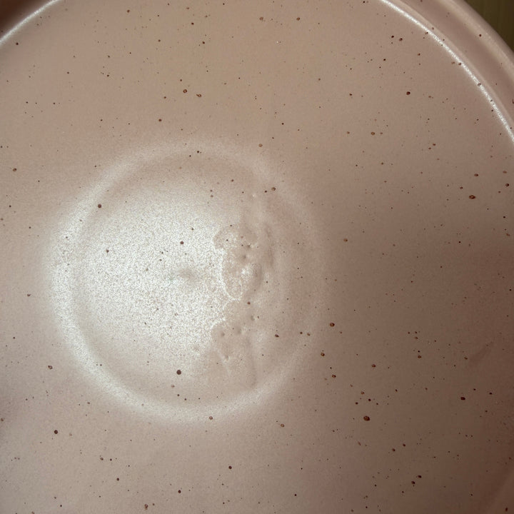 Leftover 10 inch Classic Plate ( Old Rose Matte )