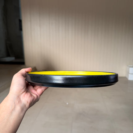 leftover 10 inch classic plate ( Midnight Sun )