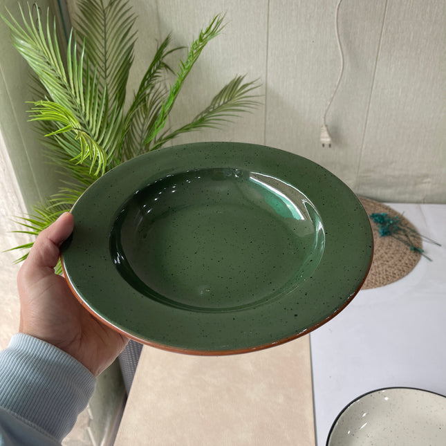 Leftover 10 inch Deep plate ( Glossy Dark Green )