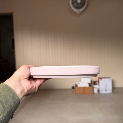Leftover 8 inch Classic Plate ( Old Rose Matte )