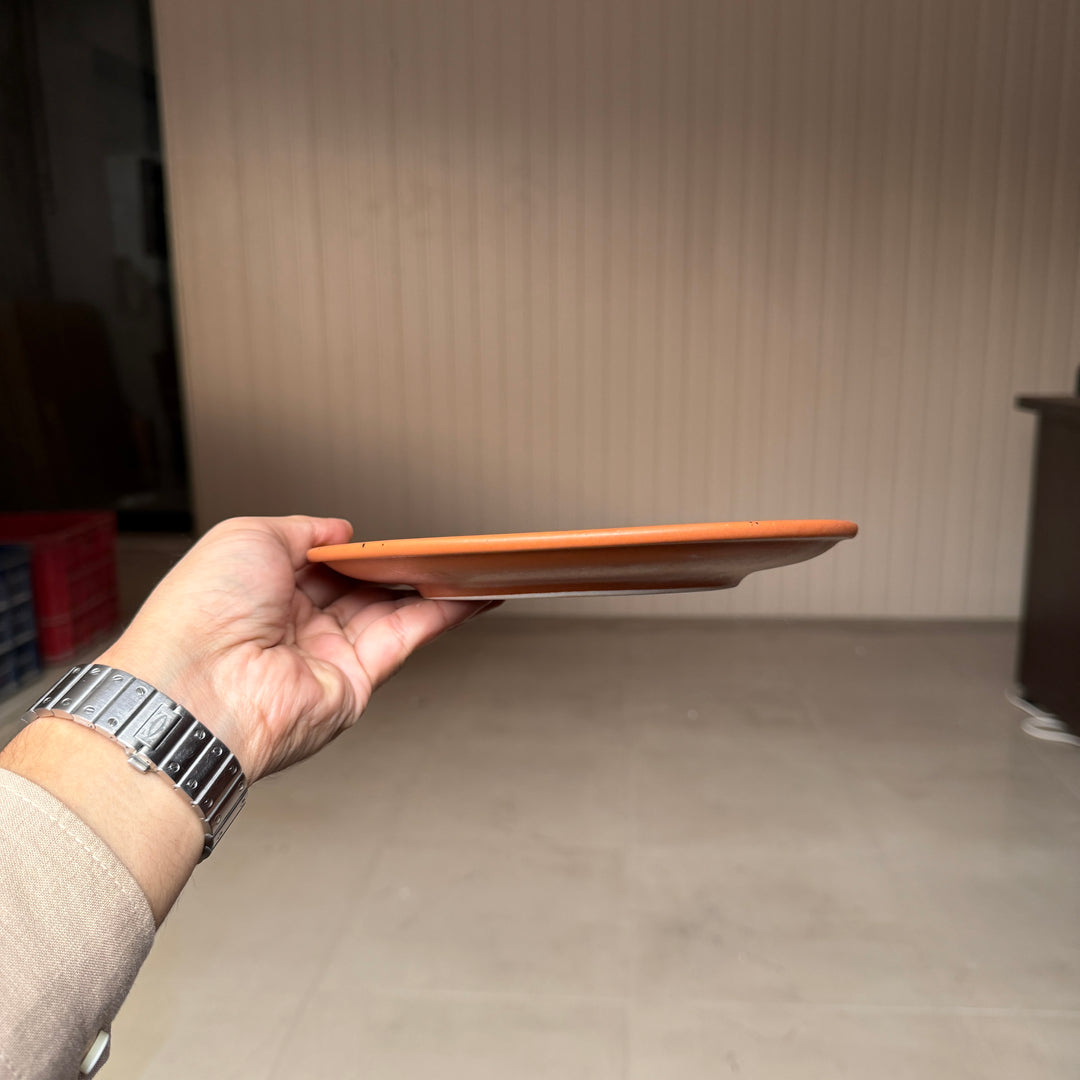 Leftover 8 inch Rimless Plate ( Terracotta matte with black specks ) ( Set of 6 )