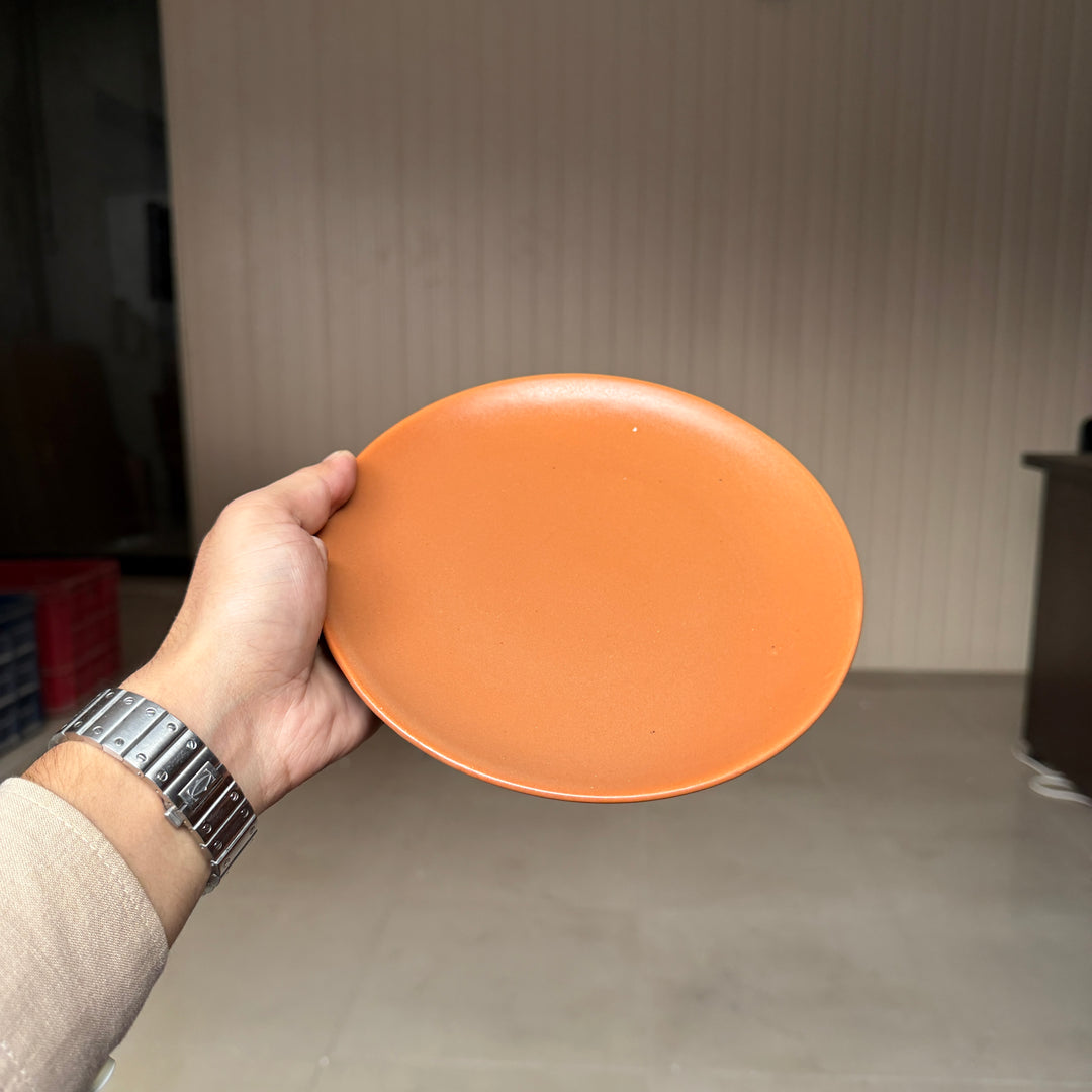Leftover 8 inch Rimless Plate ( Terracotta matte ) ( Set of 6 )