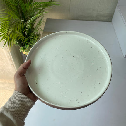 Leftover 10 inch Classic Plate ( Rustic Brown Matte )