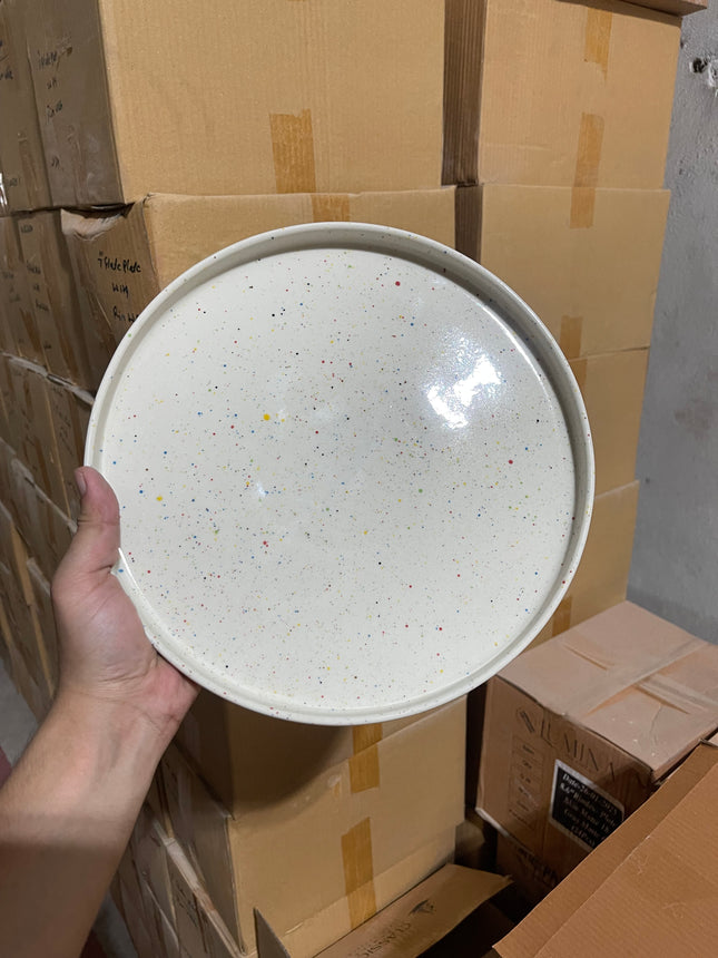 Leftover 10 inch Classic Plate ( Shiny Off White with Multicolor Specks )