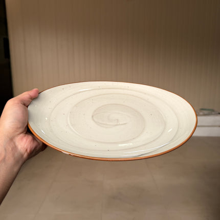 Leftover 11 inch Rimless Rice Dish ( Grey Colorline )