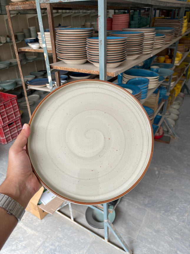 Leftover 10 inch Classic Plate ( Grey Colorline )